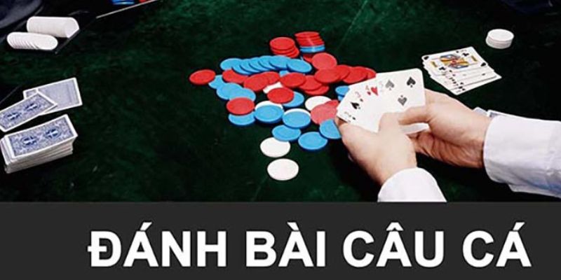 Giới thiệu về game bài câu cá