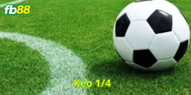 Kèo ¼ là gì?