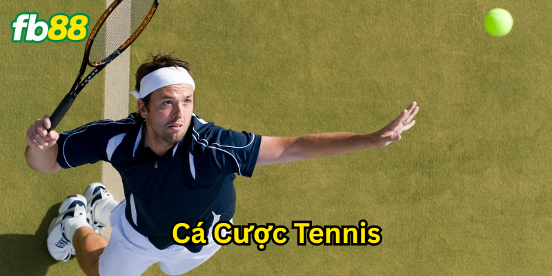 Cá Cược Tennis là gì?