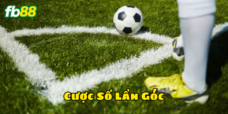 Cược Số Lần Góc nghĩa là gì?