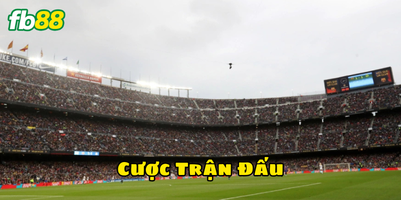 Tỷ lệ Cược Trận Đấu có gì đặc biệt